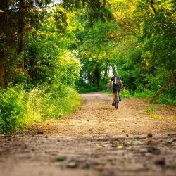 Fahrradtour in Bramsche im Osnabrücker Land durch den Wald