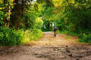 Fahrradtour in Bramsche im Osnabrücker Land durch den Wald