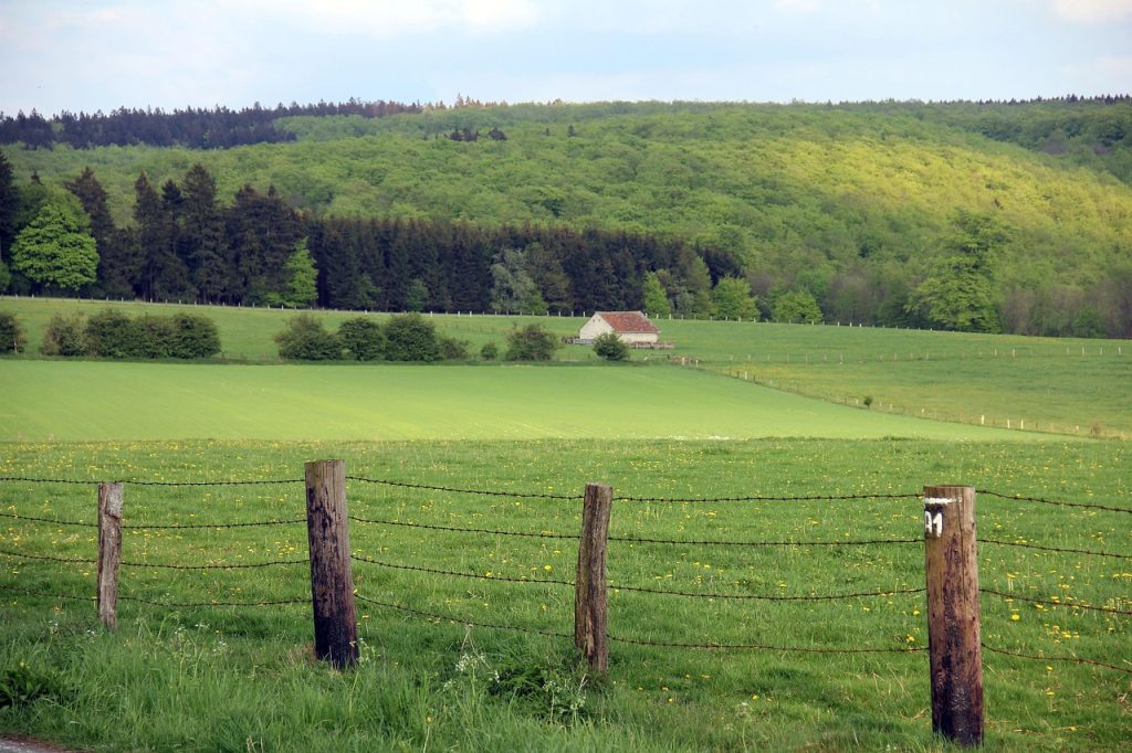 Ausläufer des Teutoburger Waldes in Bramsche im Osnabrücker Land