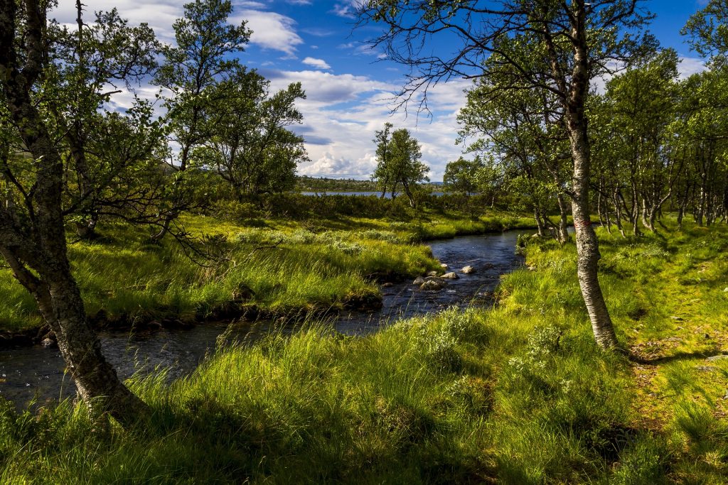 Hasewiesen in Bramsche, Osnabrücker Land, und die Hase