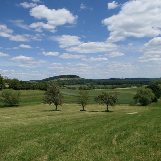 Wiehengebirge Terra Park im Osnabrücker Land nahe Bramsche und Waldhotel und Restaurant Zeitreise