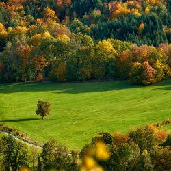 Wiehengebirge in der Nähe der Zeitreise Bramsche im Osnabrücker Land mit aSpaziergang
