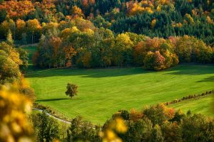 Wiehengebirge in der Nähe der Zeitreise Bramsche im Osnabrücker Land mit aSpaziergang