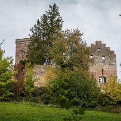 Burgruine im Wiehengebirge Zeitreise Bramsche Osnabrücker Land Spaziergang