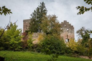 Burgruine im Wiehengebirge Zeitreise Bramsche Osnabrücker Land Spaziergang